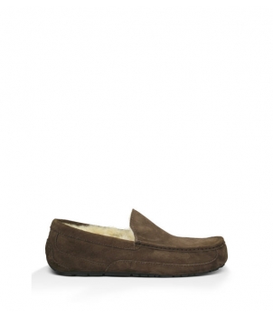 Mens Ascot - Suede Chocolate 5775